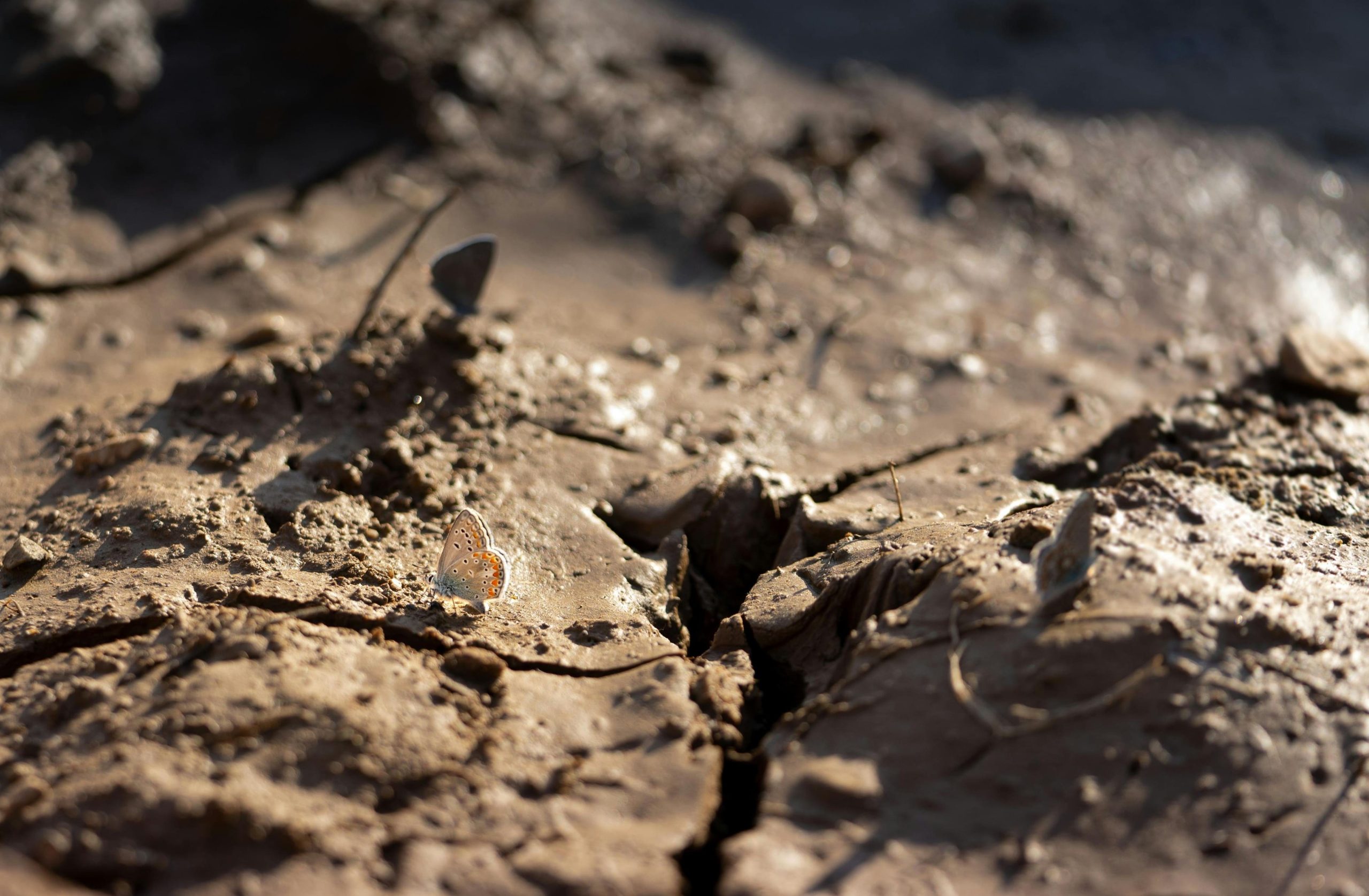 Climate Studies — Building ResilienceAgainst Change
